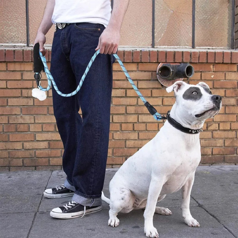 Laisse solide pour chien – renforcée avec poignée souple, 120 à 300 cm