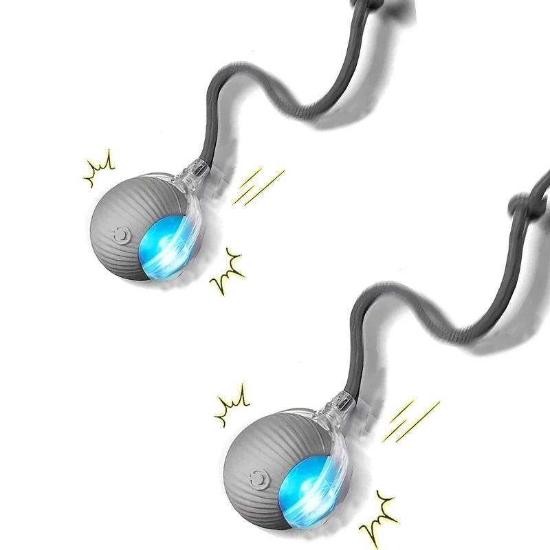 Automatic Rolling Dog Ball – Rechargeable Smart Interactive Toy for Dogs