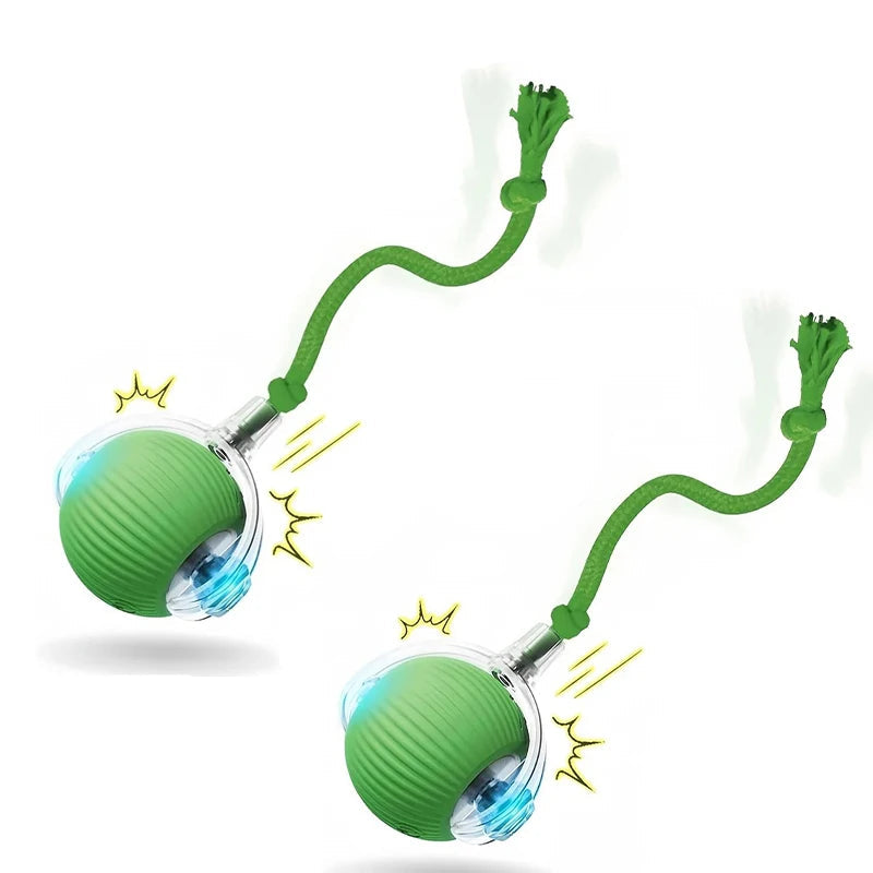 Automatic Rolling Dog Ball – Rechargeable Smart Interactive Toy for Dogs