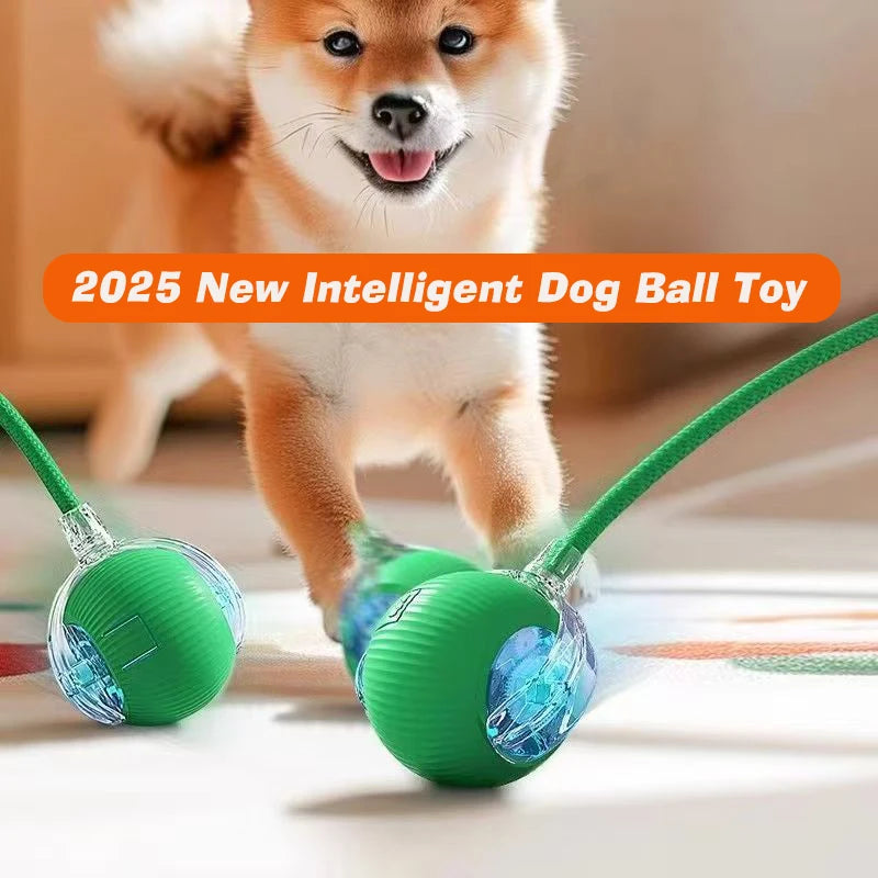 Nouveau jouet interactif pour chien – Balle automatique rechargeable, jouet intelligent pour chiots, balle interactive intelligente pour chiens.