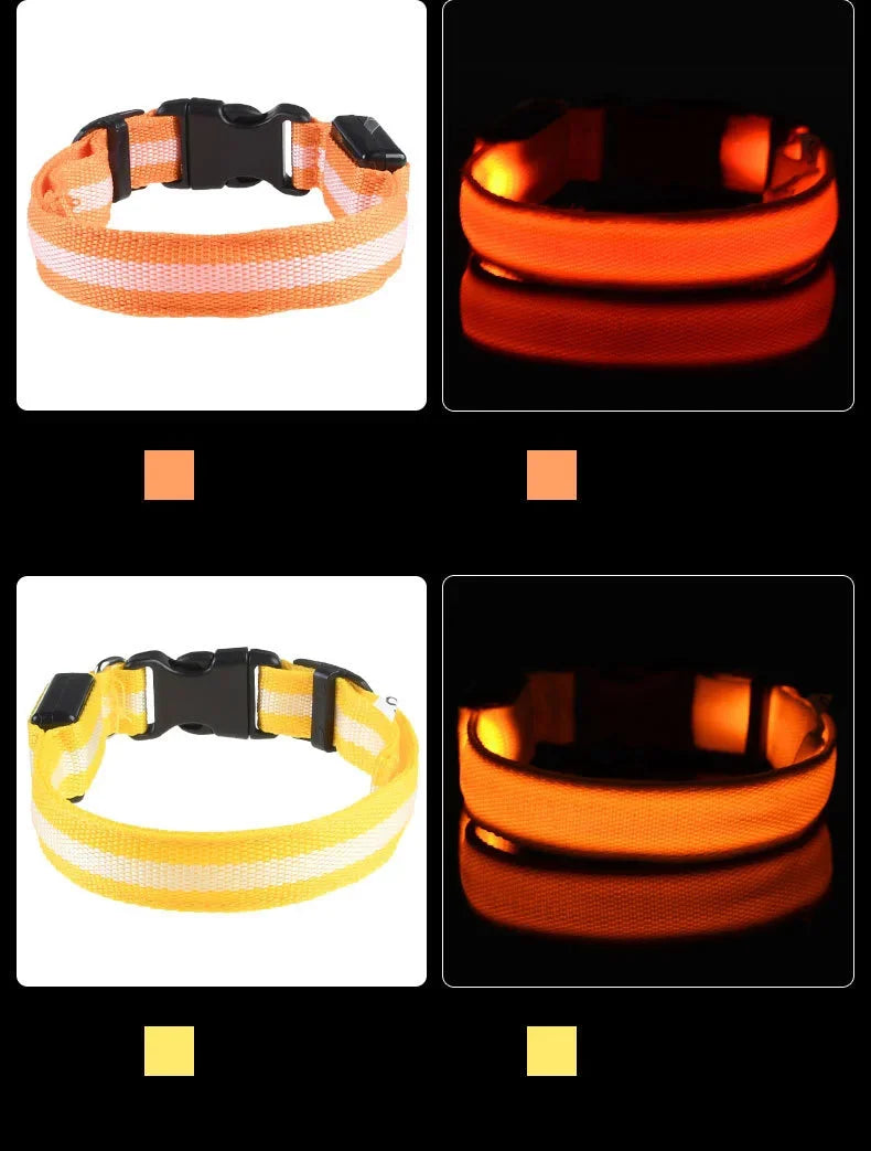 Laisse et collier pour chien en nylon avec LED – lumineux et fluorescent, sécurité de nuit avec effet lumineux dans l’obscurité.