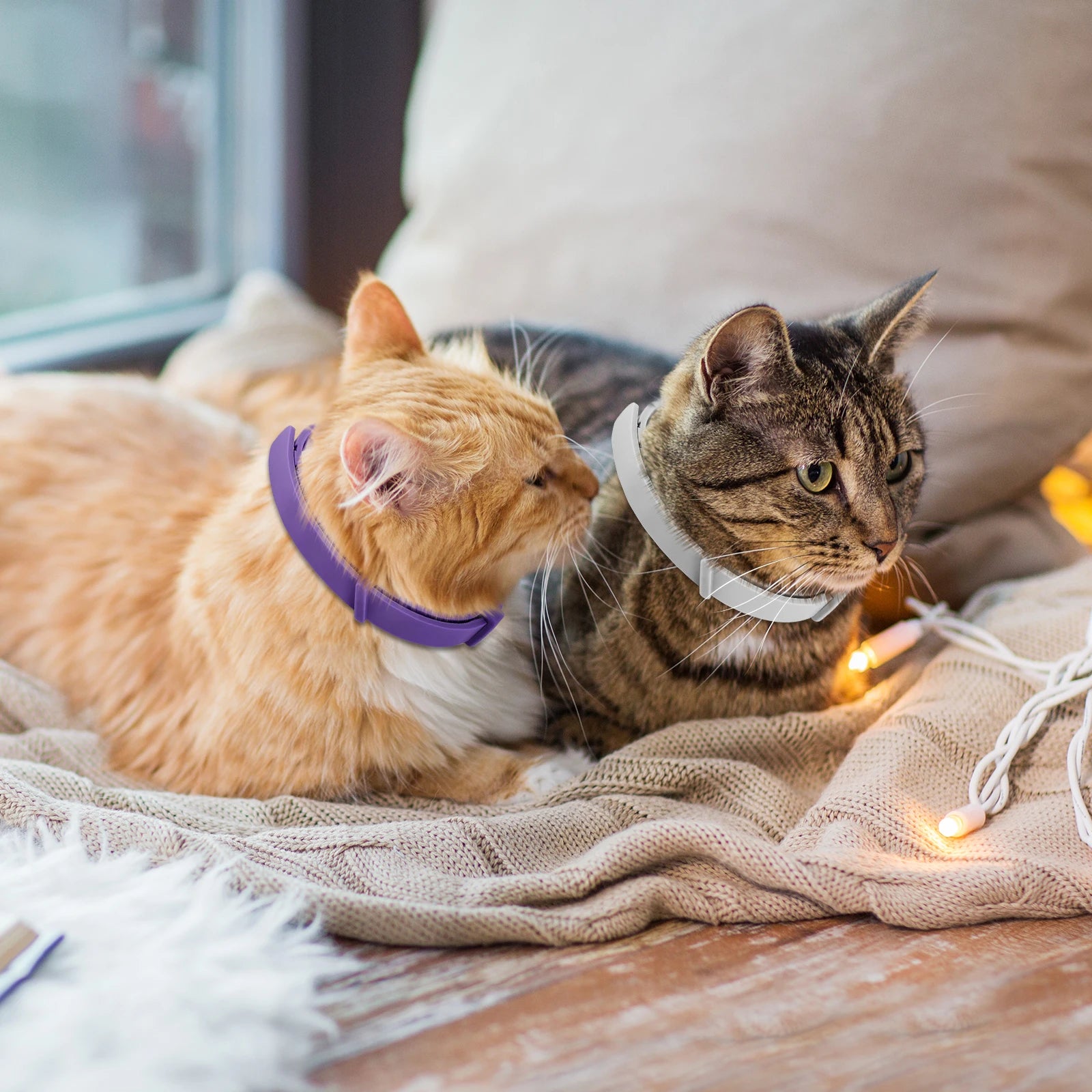 Calming Pheromone Collars 4/8 Pack – Anxiety Relief for Dogs & Cats