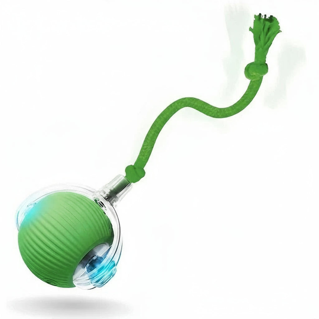 Automatic Rolling Dog Ball – Rechargeable Smart Interactive Toy for Dogs