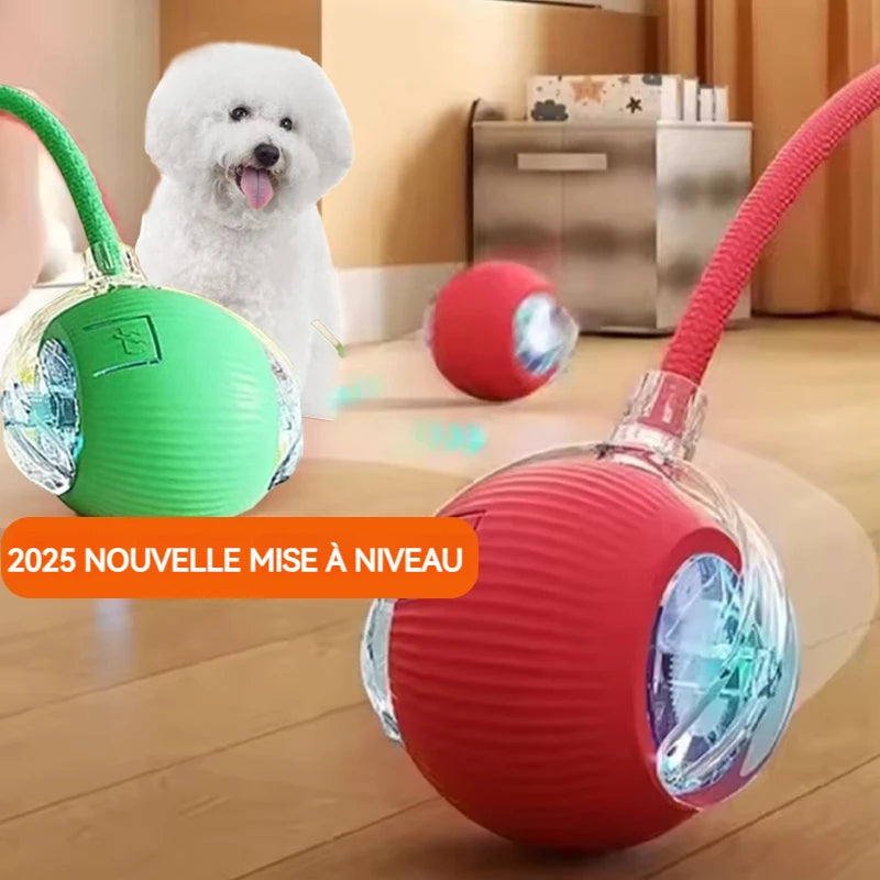 Nouveau jouet interactif pour chien – Balle automatique rechargeable, jouet intelligent pour chiots, balle interactive intelligente pour chiens.