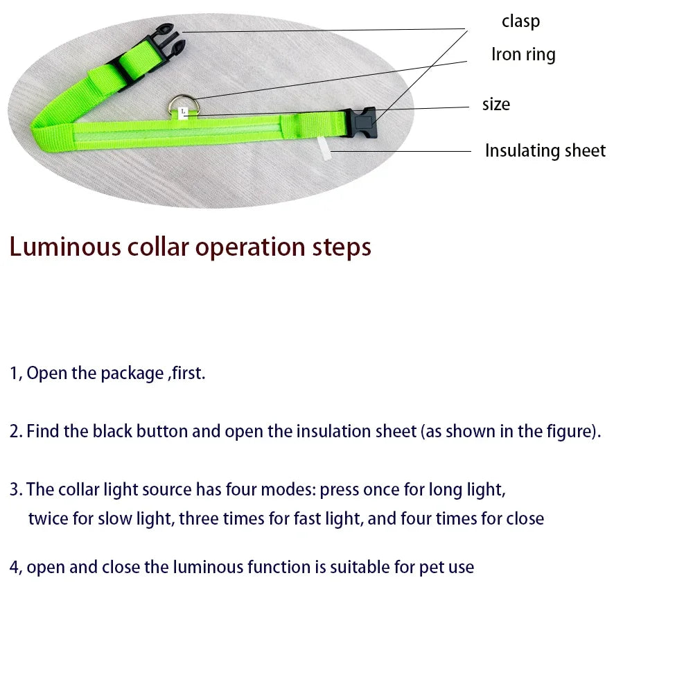 Laisse et collier pour chien en nylon avec LED – lumineux et fluorescent, sécurité de nuit avec effet lumineux dans l’obscurité.