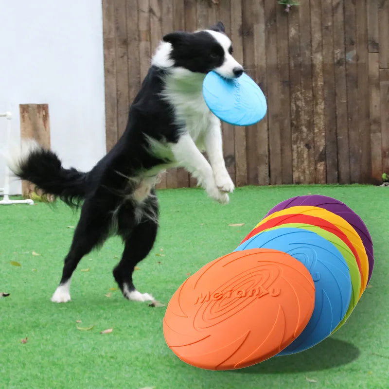 Bite Resistant Flying Disc – Outdoor Training Toy for Dogs