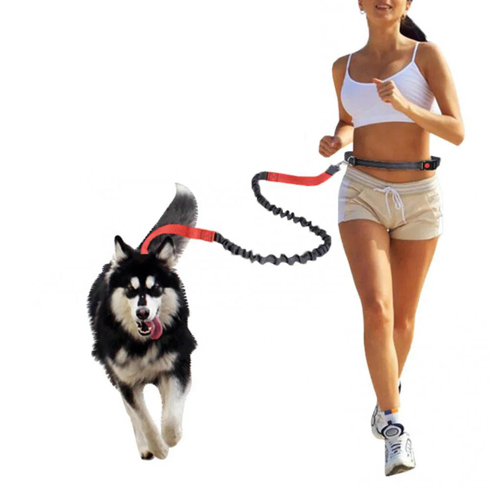Elastic Dog Leash – Durable Nylon Lead for Running & Walking