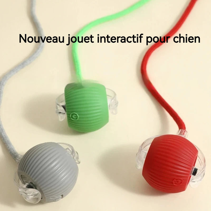 Nouveau jouet interactif pour chien – Balle automatique rechargeable, jouet intelligent pour chiots, balle interactive intelligente pour chiens.