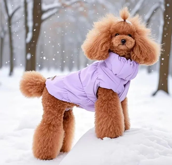 Warm Dog Vest – Soft Turtleneck Coat for Small & Medium Dogs