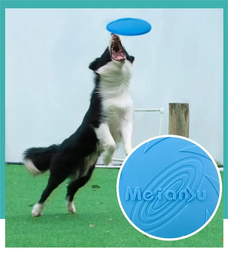 Bite Resistant Flying Disc – Outdoor Training Toy for Dogs
