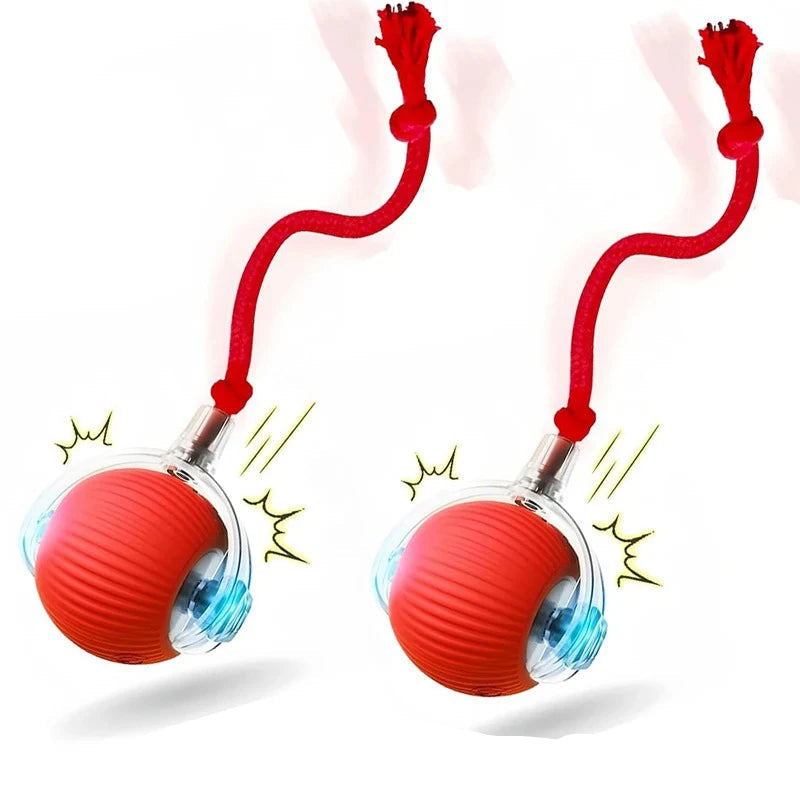 Automatic Rolling Dog Ball – Rechargeable Smart Interactive Toy for Dogs