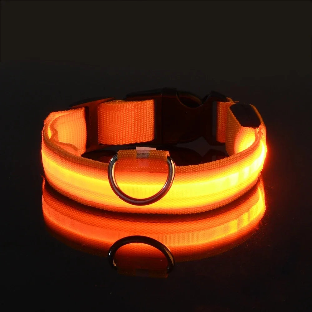 Laisse et collier pour chien en nylon avec LED – lumineux et fluorescent, sécurité de nuit avec effet lumineux dans l’obscurité.