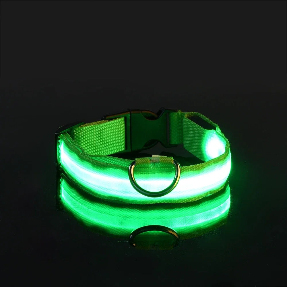 Laisse et collier pour chien en nylon avec LED – lumineux et fluorescent, sécurité de nuit avec effet lumineux dans l’obscurité.